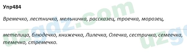 Русский язык Зеленина 5 класс 2020 Упражнение 484