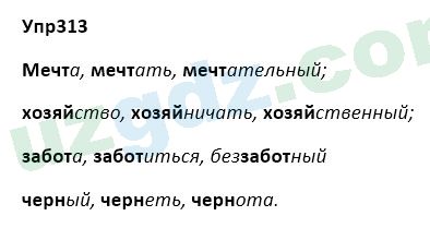 Русский язык Зеленина 5 класс 2020 Упражнение 313