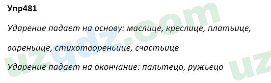 Русский язык Зеленина 5 класс 2020 Упражнение 481