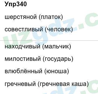 Русский язык Зеленина 6 класс 2017 Упражнение 340