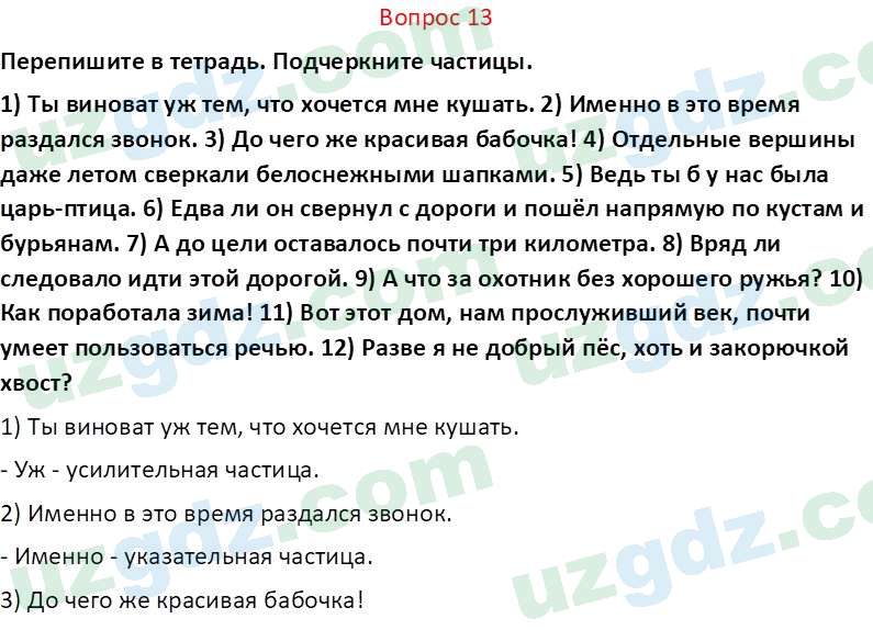 Русский язык Юнусовна Т. О. 7 класс 2022 Вопрос 13