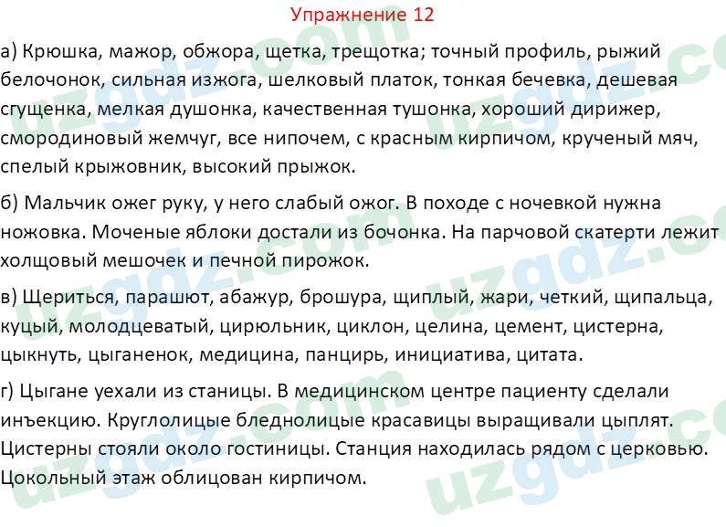 Русский язык Рахматуллаева Г. М. 10 класс 2017 Упражнение 12